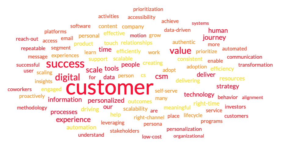 Digital Customer Success Definition Word Map
